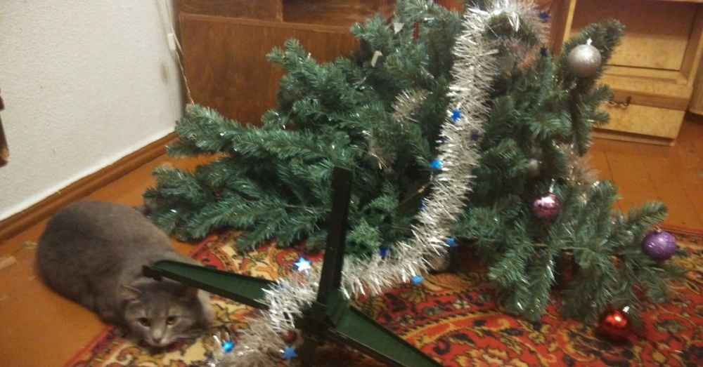 Новый год – новый Кот. Символ 2023 – чёрный водяной кот., фото 45