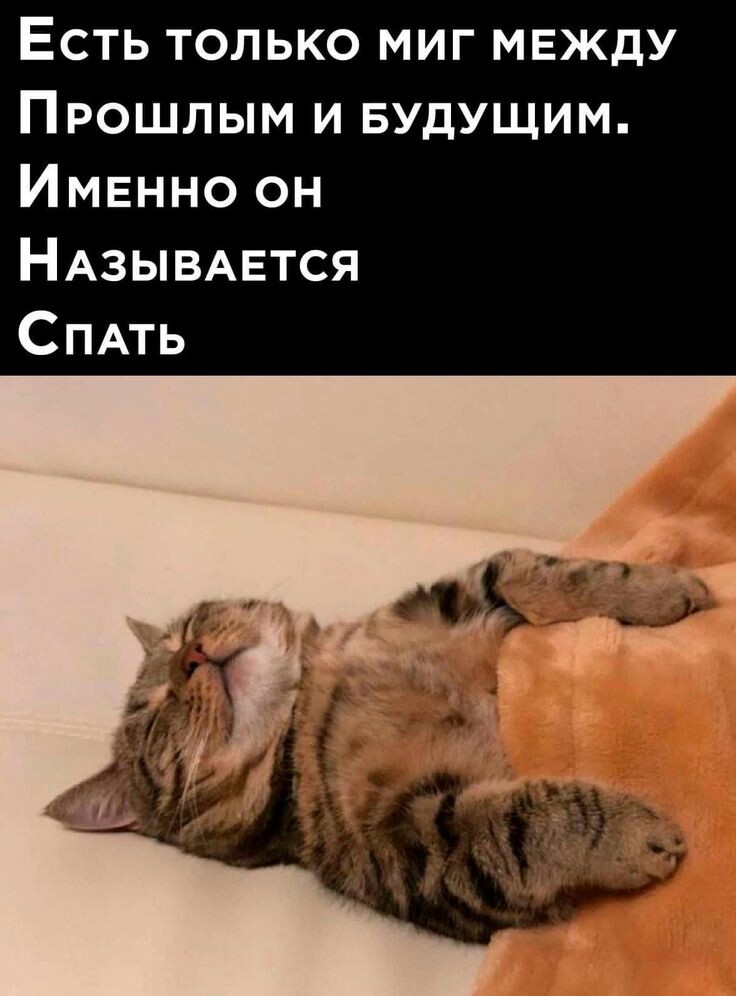 Настроение КОШКИ!, фото 9 Настроение КОШКИ!, фото 9