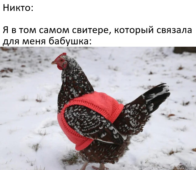Небольшая подборка мемов для вас
