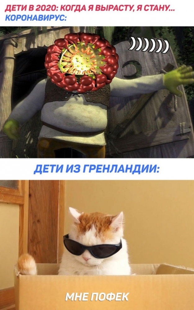 Смешные картинки о Коронавирусе, фото 22 Смешные картинки о Коронавирусе, фото 22