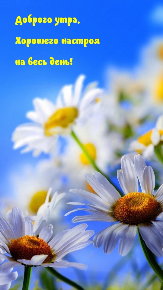 Открытки С добрым утром, фото 3 Открытки С добрым утром, фото 3