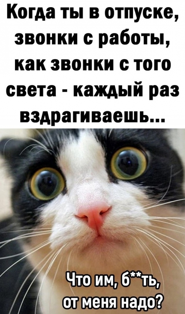 Анекдоты на разные темы, фото 4 Анекдоты на разные темы, фото 4