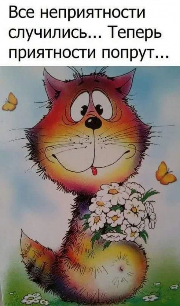 Смешные картинки для любых возрастов, фото животных и детей, фото 3 Смешные картинки для любых возрастов, фото животных и детей, фото 3