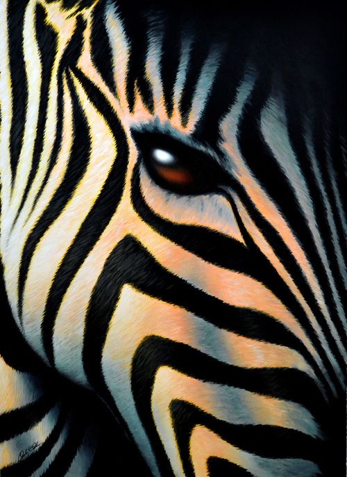 Обои в мире животных. Обои с зебрами, фото 2