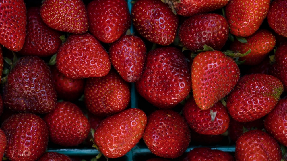 Обои еда, фото 5 Обои еда, фото 5