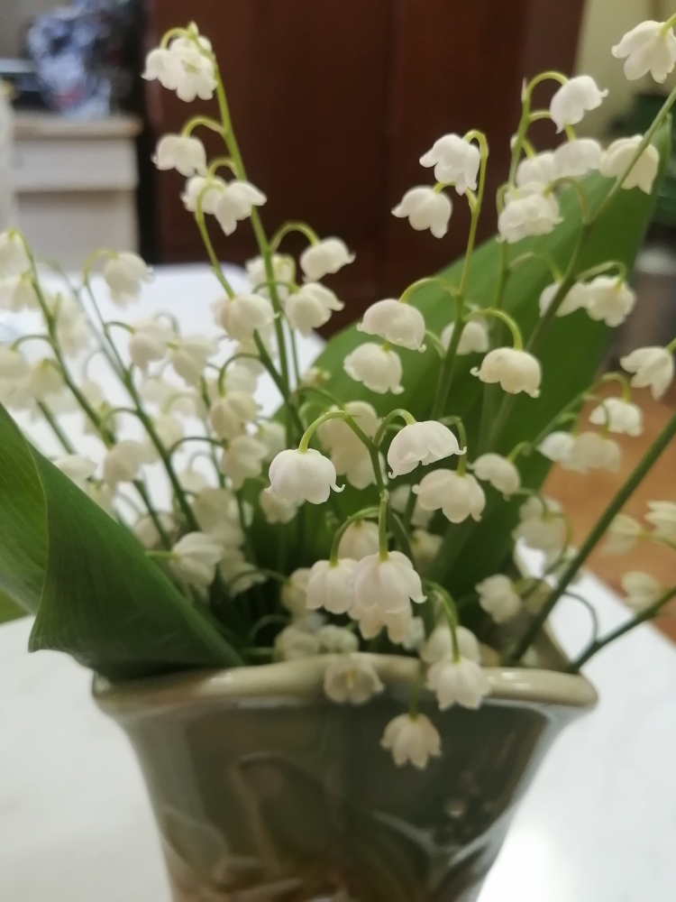 Обои с ландышами , фото 16 Обои с ландышами , фото 16