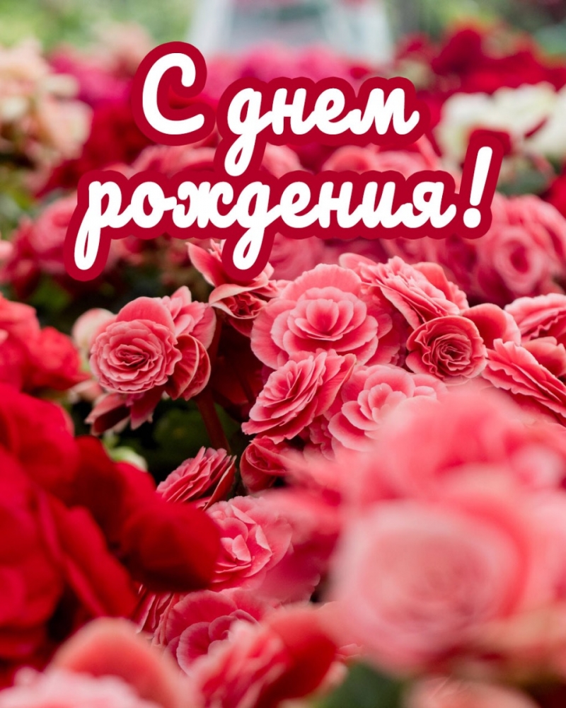 Праздничные открытки на Июнь и Июль, фото 9