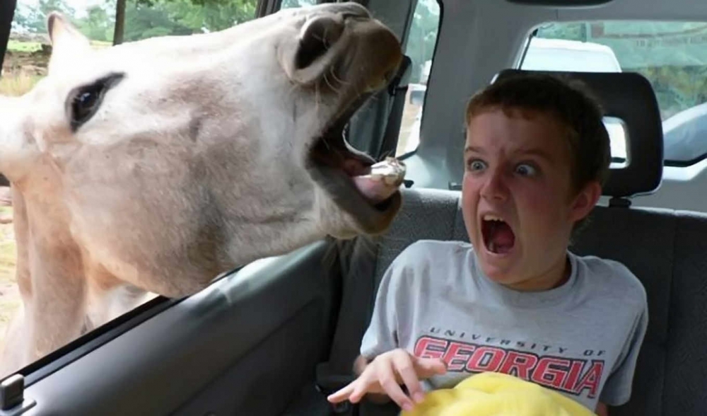 Фото приколы и казусы, фото 13