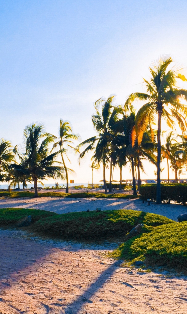 Обои на iPhone 7plus. 6 часть., фото 19 Обои на iPhone 7plus. 6 часть., фото 19