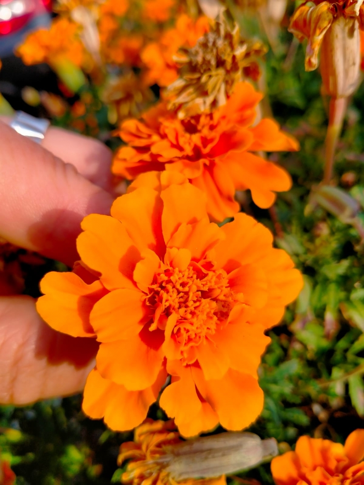 Осеннее настроение, фото 2