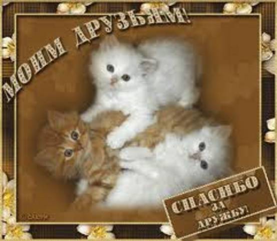 Открытки для своих дорогих, верных друзей и подруг, фото 1 Открытки для своих дорогих, верных друзей и подруг, фото 1