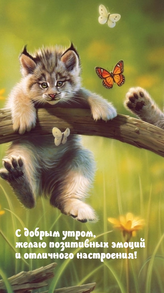 Открытки С добрым утром, фото 4 Открытки С добрым утром, фото 4