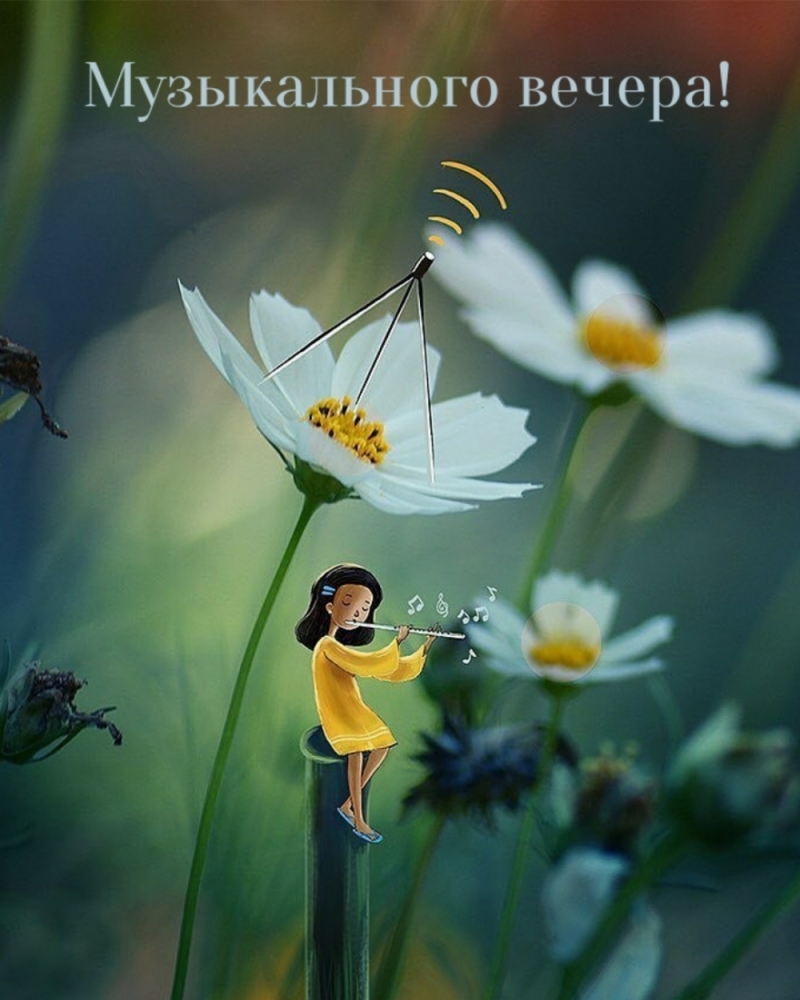 Добрый вечер, фото 4 Добрый вечер, фото 4