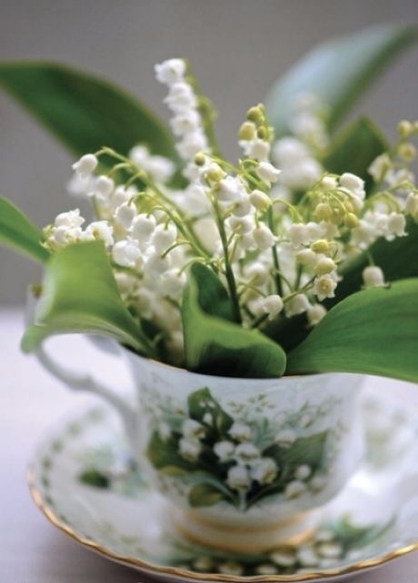 Обои с ландышами , фото 1 Обои с ландышами , фото 1