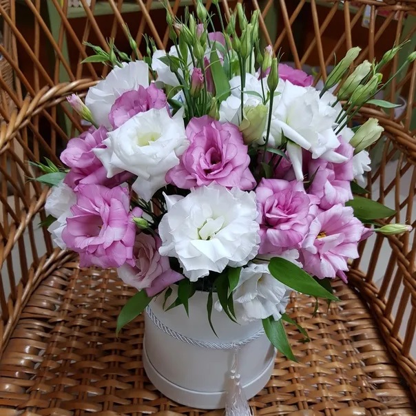 Красавица эустома, фото 5