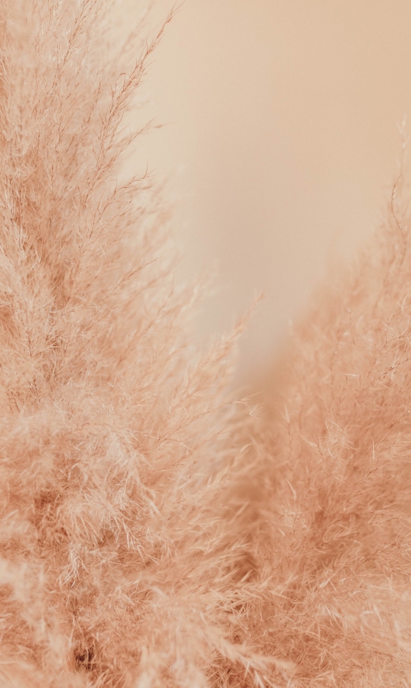 Обои для iPhone 7plus. 5 часть. , фото 15 Обои для iPhone 7plus. 5 часть. , фото 15