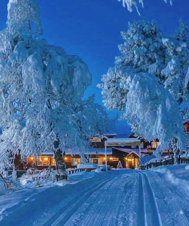 Мороз и солнце - день чудесный!, фото 11 Мороз и солнце - день чудесный!, фото 11