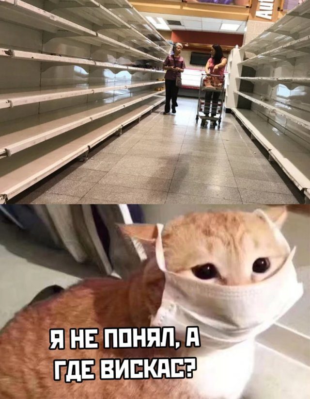 Приколы в картинка про коронавирус, фото 22