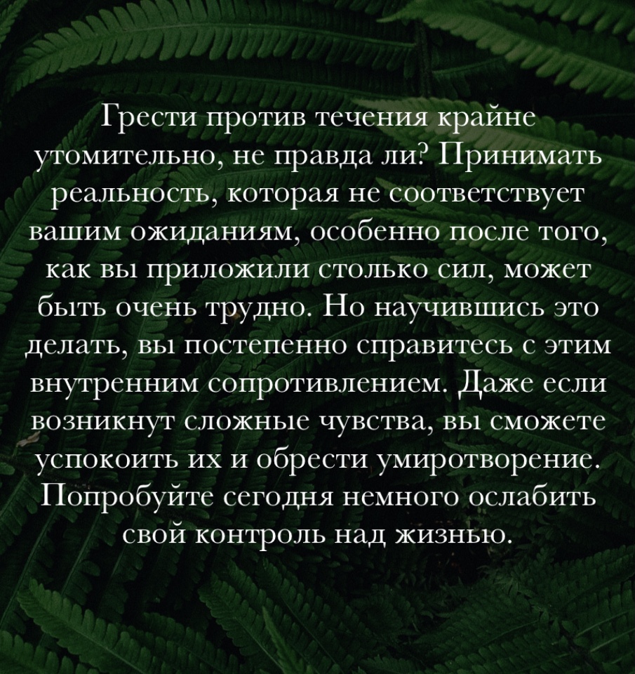 Цитаты для раздумий во время медитации + пояснение их значения, фото 1