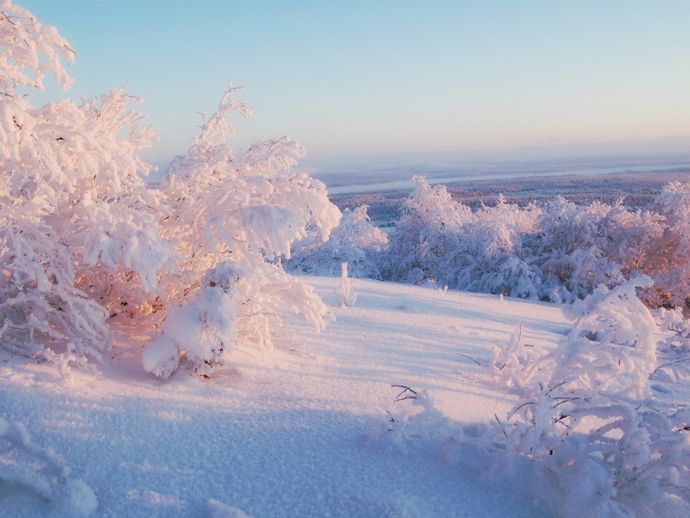 Зимняя сказка, фото 5 Зимняя сказка, фото 5