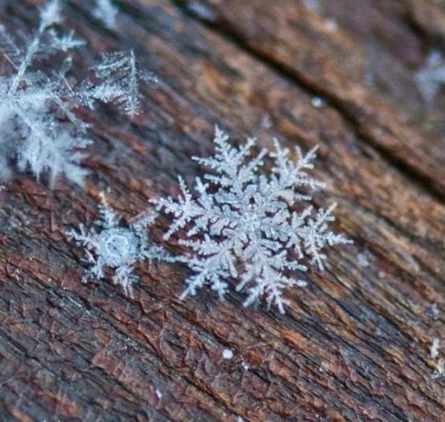 Снежинки - чудо природы, фото 5 Снежинки - чудо природы, фото 5