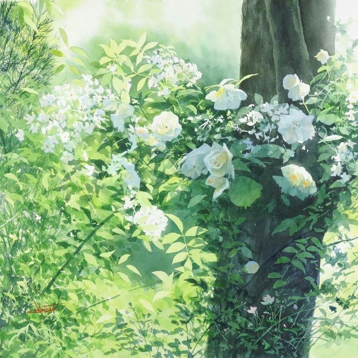 Акварели, как полёт бабочки, фото 5 Акварели, как полёт бабочки, фото 5