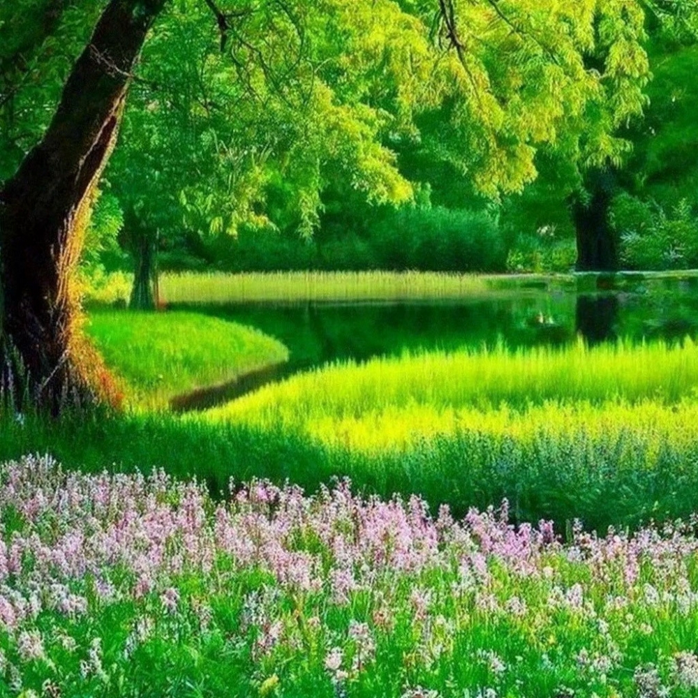 Лето, лето, васильки в букетах), фото 5