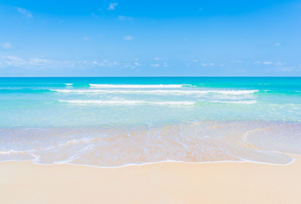 Удивительный мир Красного моря, фото 6