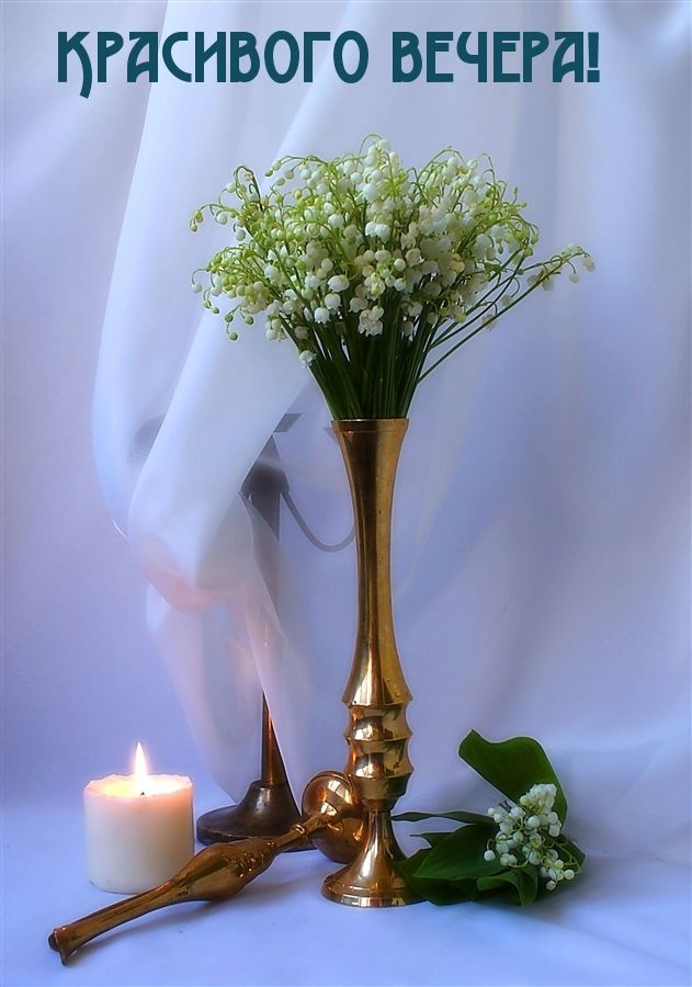 Картинки с пожеланиями, фото 19