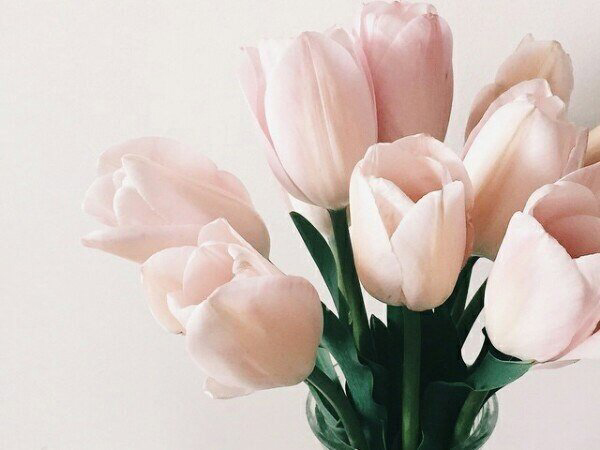 Весенние обои, фото 44 Весенние обои, фото 44