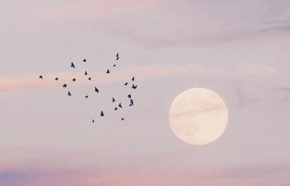 Обои с небом и облаками, фото 3 Обои с небом и облаками, фото 3