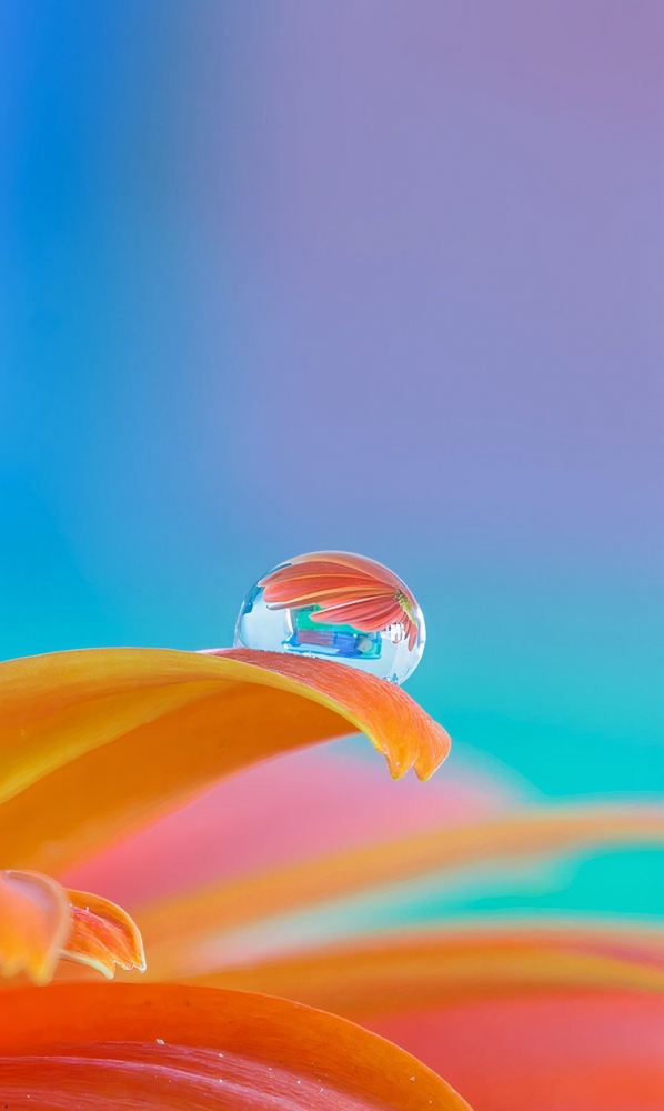 Обои на iPhone 7plus. 6 часть., фото 10 Обои на iPhone 7plus. 6 часть., фото 10