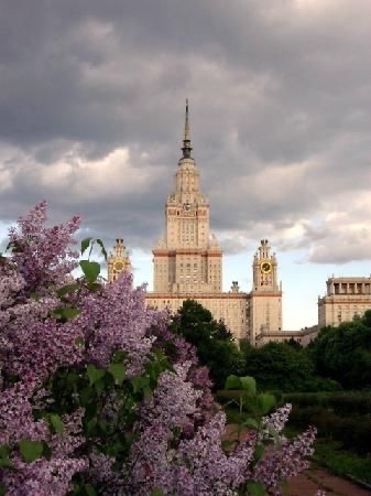Обои с городом Москва, фото 45 Обои с городом Москва, фото 45