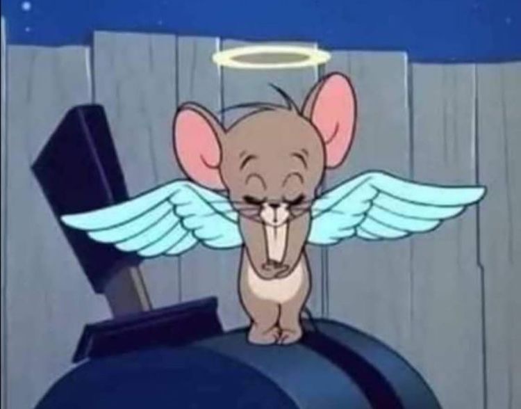 Аватарки в стиле мультика Том и Джерри, фото 18 Аватарки в стиле мультика Том и Джерри, фото 18