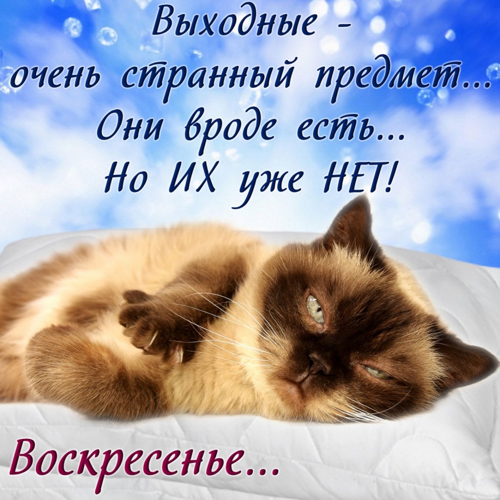 Хочу представить открытки для пожелания хорошего выходного воскресенья!, фото 8 Хочу представить открытки для пожелания хорошего выходного воскресенья!, фото 8