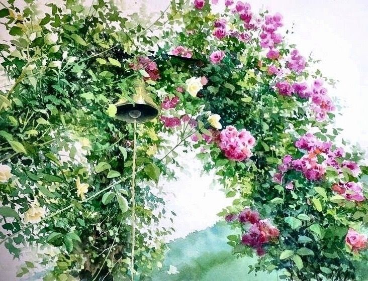 Акварели, как полёт бабочки, фото 6 Акварели, как полёт бабочки, фото 6