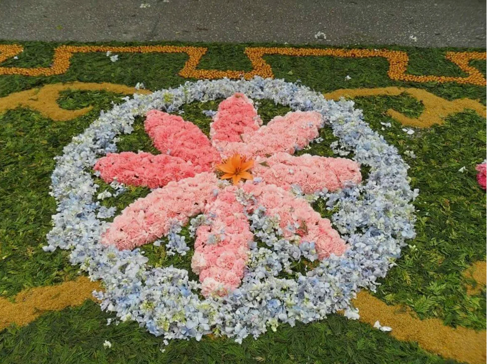 Коллажи из цветов, фото 6 Коллажи из цветов, фото 6