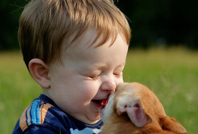 Забавные детки, фото 6 Забавные детки, фото 6