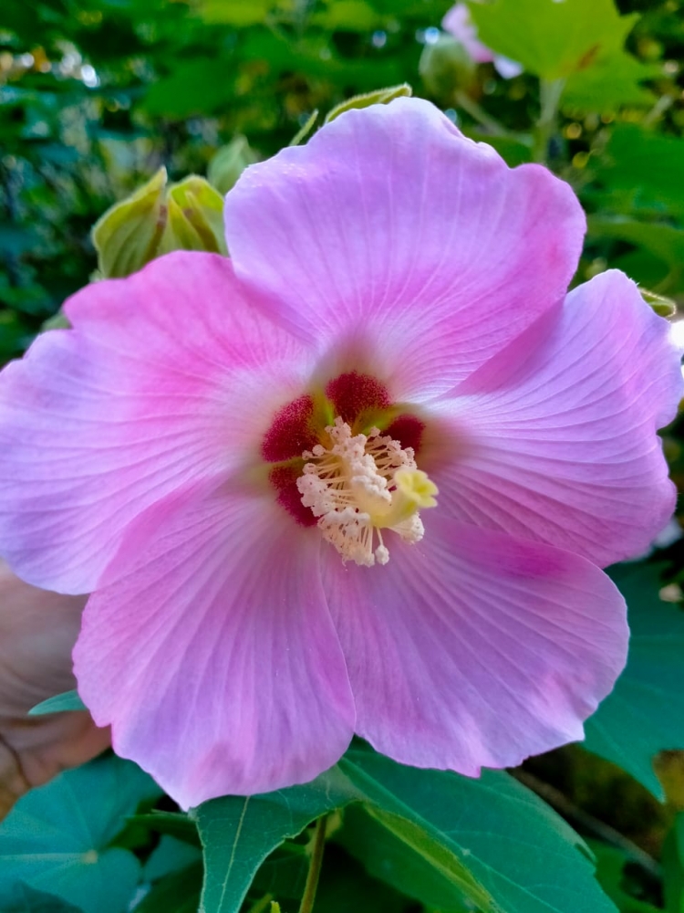 Осеннее настроение, фото 3