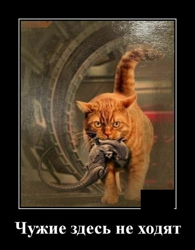Демотиваторы -злые ужасы, фото 2 Демотиваторы -злые ужасы, фото 2