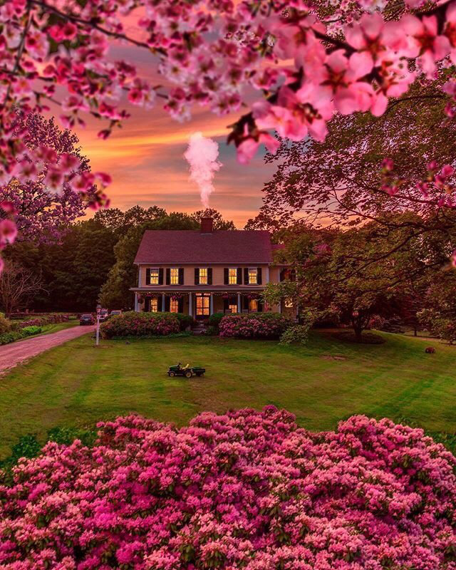 Весенние обои, фото 3 Весенние обои, фото 3