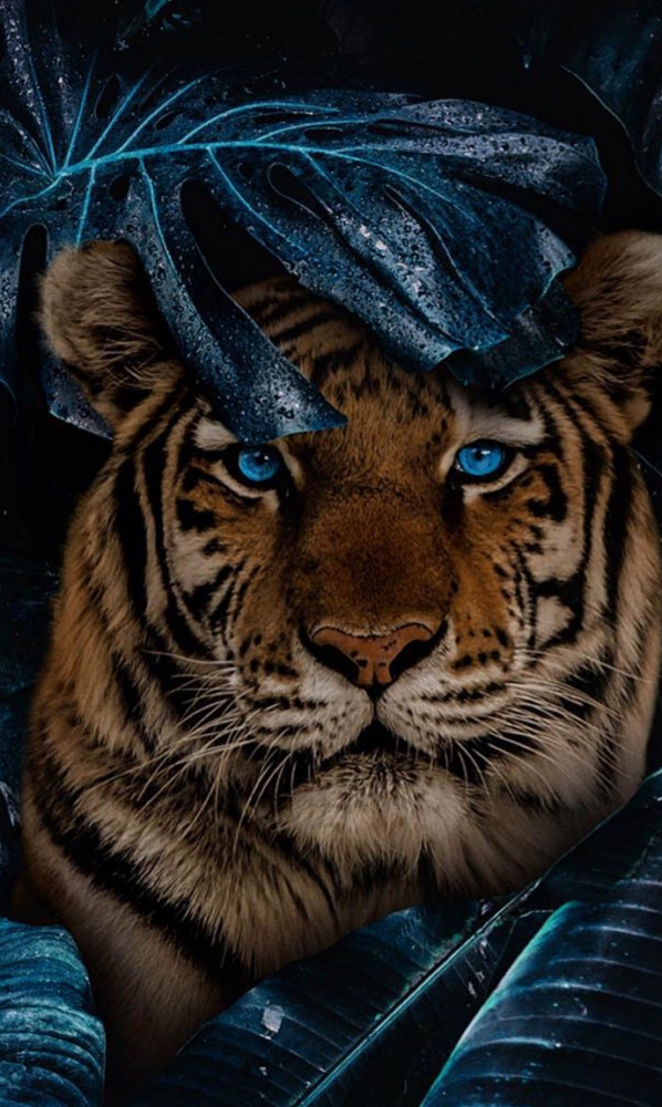 Подборка обоев для iphona 7plus. 10часть( последняя)., фото 40 Подборка обоев для iphona 7plus. 10часть( последняя)., фото 40