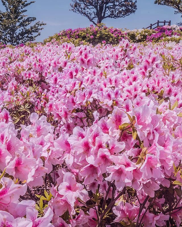 Весенние обои, фото 18 Весенние обои, фото 18