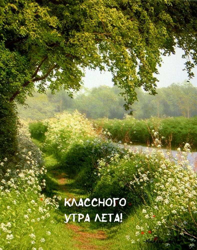 Открытки по теме Доброе летнее утро, фото 3 Открытки по теме Доброе летнее утро, фото 3
