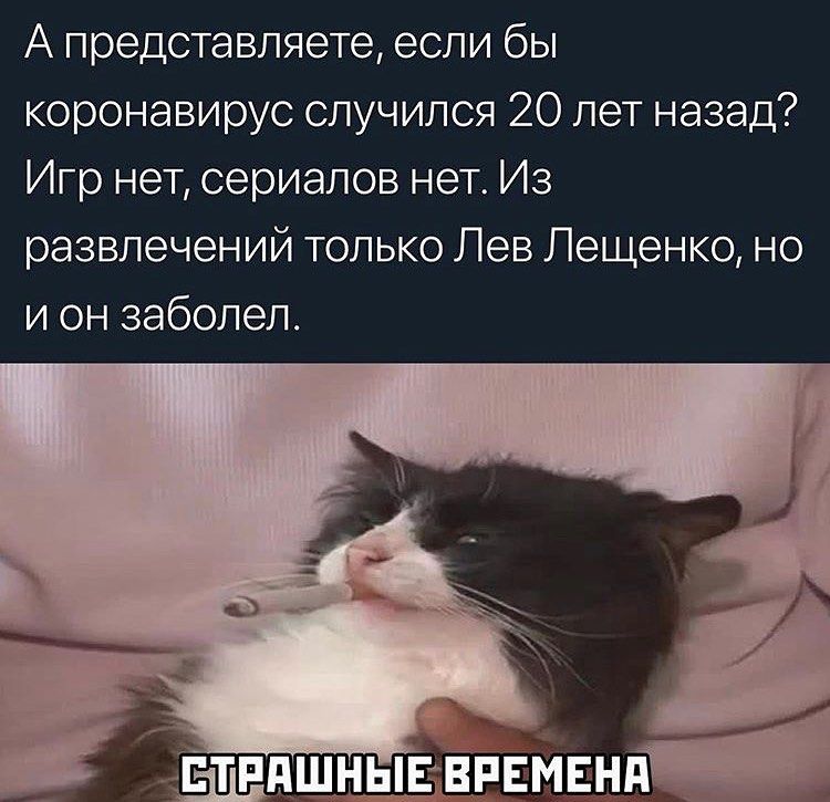 Смешное про короновирус, фото 24 Смешное про короновирус, фото 24