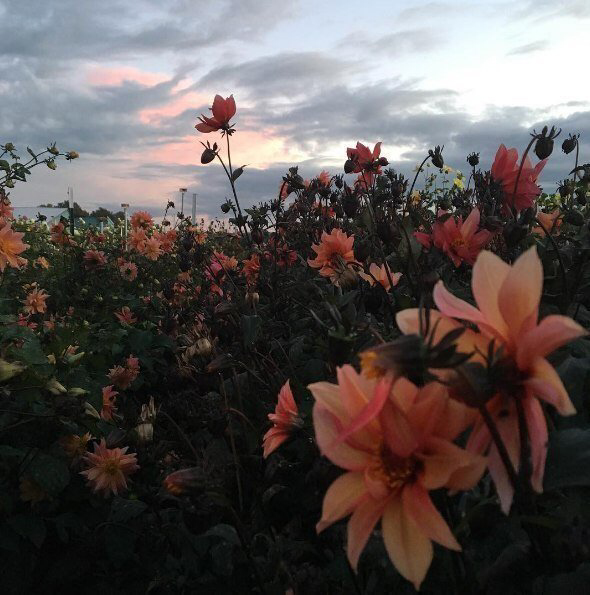 Весенние обои, фото 34 Весенние обои, фото 34