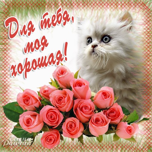 Пожелания лучшим друзьям! Открытки для своих близких друзей,лучших знакомых и товарещей!, фото 11 Пожелания лучшим друзьям! Открытки для своих близких друзей,лучших знакомых и товарещей!, фото 11