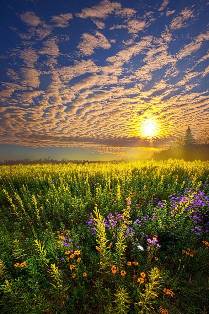 Открытки Лето-прекрасная пора, фото 13 Открытки Лето-прекрасная пора, фото 13