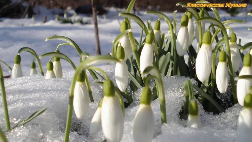Подобранные мною пейзажи по теме Времена года, фото 5 Подобранные мною пейзажи по теме Времена года, фото 5