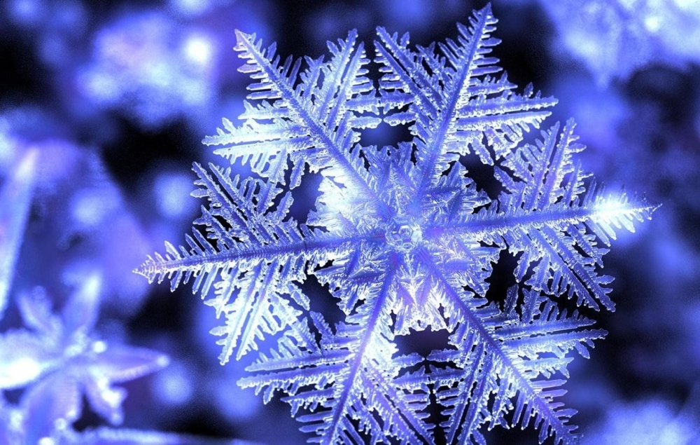 Снежинки - чудо природы, фото 7 Снежинки - чудо природы, фото 7